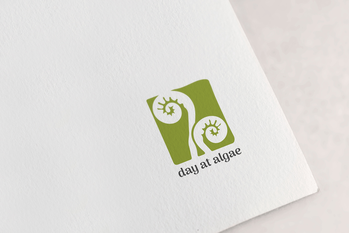 best software companies